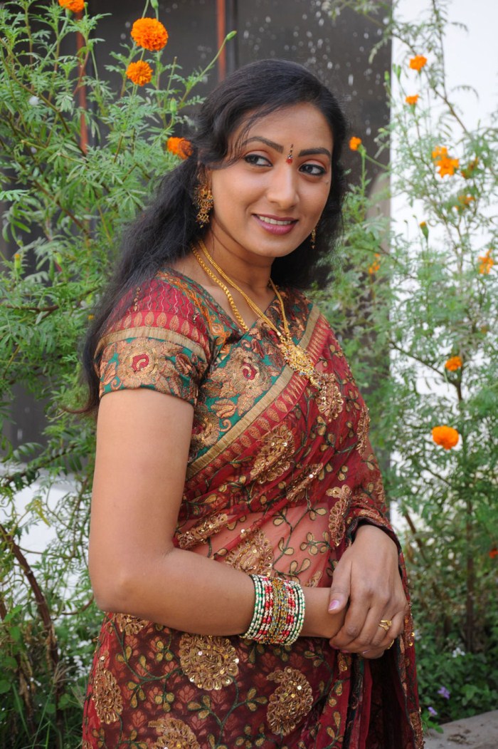 Aamani In Saree