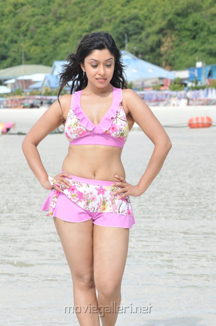 http://moviegalleri.net/wp-content/gallery/payal-ghosh-hot-bikini/payal_ghosh_hot_bikini_pics_0429.jpg