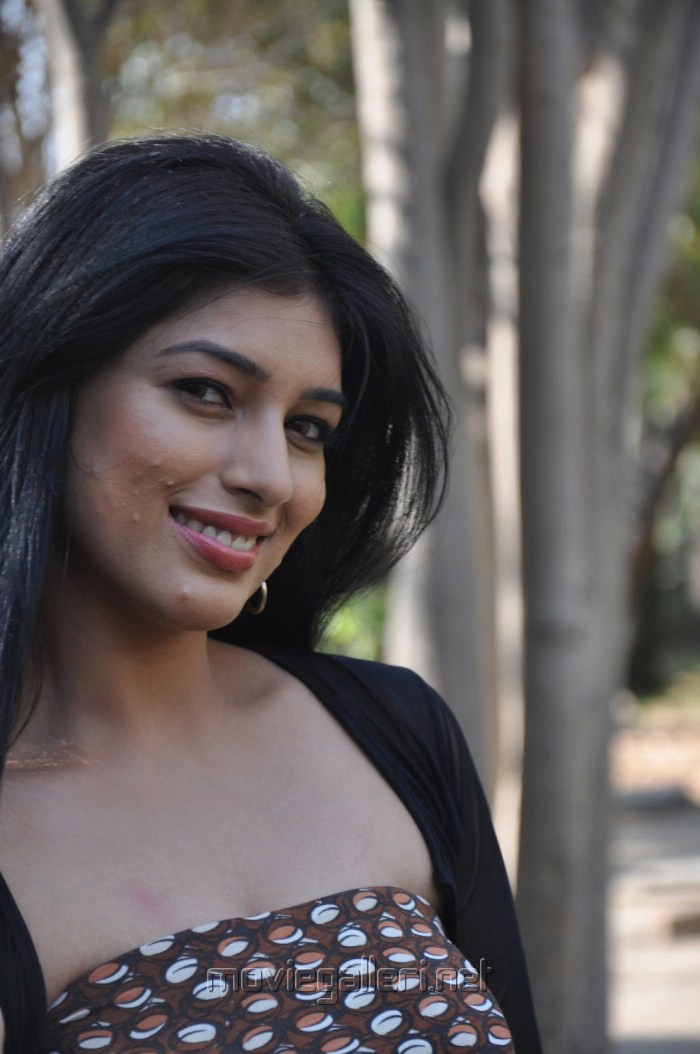 Preeti Bhandari Hot Stills [ Gallery View ] - tamil_actress_preeti_bhandari_hot_stills_3977