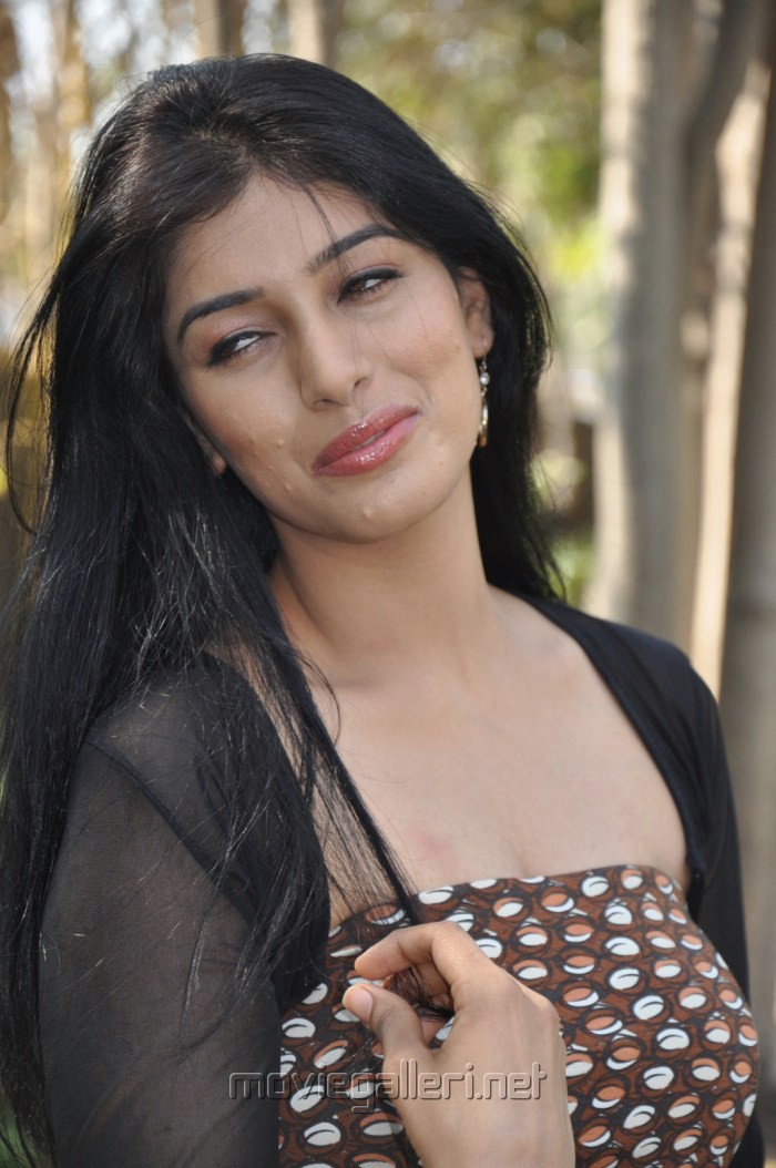 Preeti Bhandari Hot Stills [ Gallery View ] - tamil_actress_preeti_bhandari_hot_stills_7143