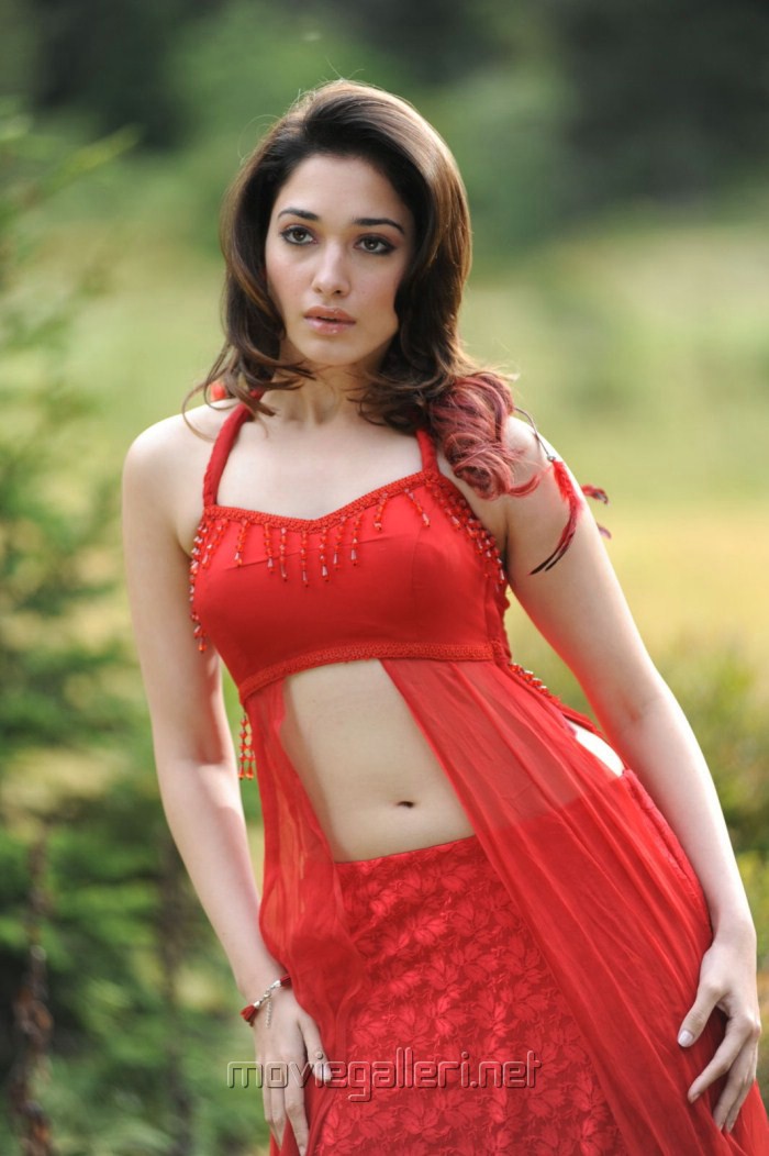 Actress Tamanna Hot Spicy Photos