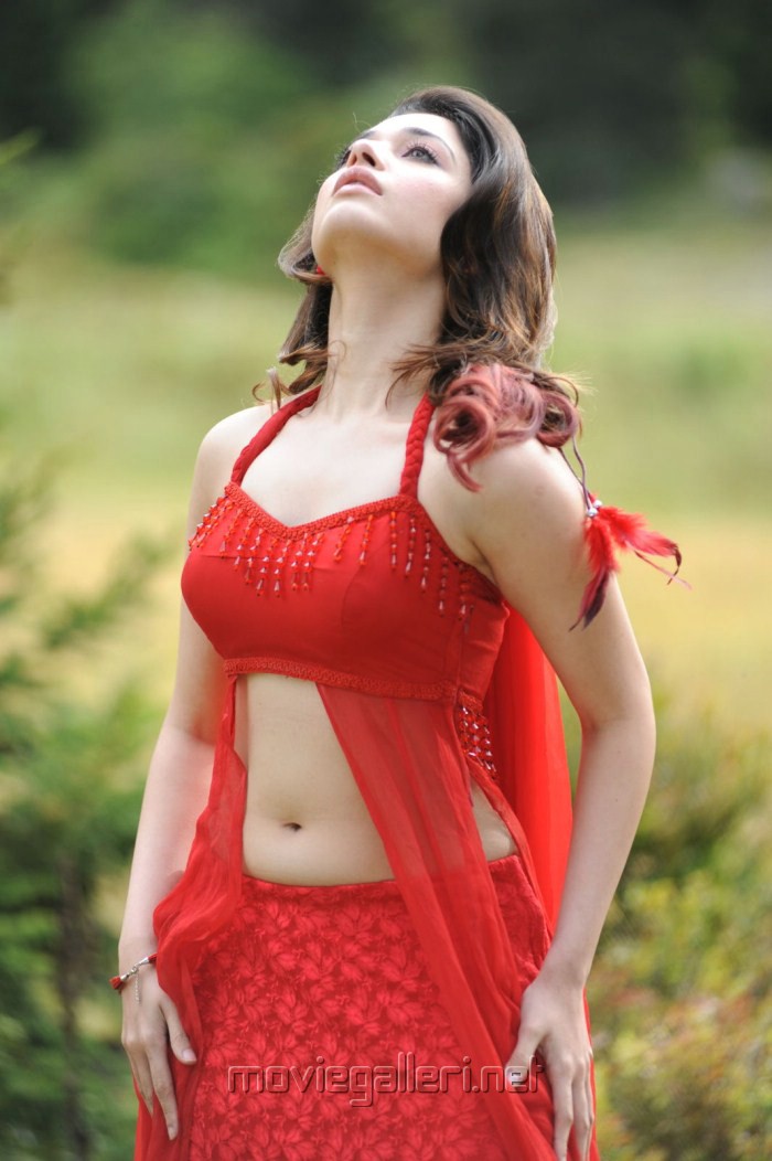 Actress Tamanna Hot Spicy Photos
