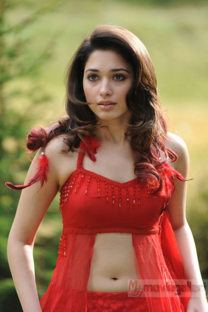 Tamanna Hot Images in Oosaravelli