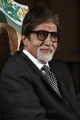 Amitabh Bachchan at 10th Chennai International Film Festival Award Function Stills