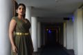 Nivetha Thomas @ 118 Grand Success Meet Stills