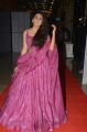 Actress Shalini Pandey @ 118 Movie Pre Release Function Stills
