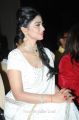 Shriya Saran @ 13th GR8 Women Awards 2014 Stills