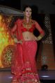 Sunita Rana @ 13th GR8 Women Awards 2014 Stills