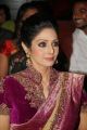 Actress Sridevi @ 13th GR8! Women Awards 2014 Stills