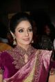 Actress Sridevi @ 13th GR8! Women Awards 2014 Stills