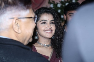 Anupama Parameswaran @ 18 Pages Movie Success Party Photos