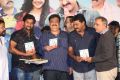 2 Countries Audio Launch Stills