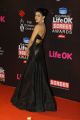 21st Life OK Screen Awards Red Carpet Photos