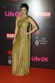 21st Life OK Screen Awards Red Carpet Photos