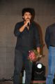 33 Prema Kathalu Movie Audio Launch Function Stills