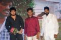 33 Prema Kathalu Movie Audio Launch Function Stills