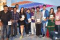 365_days_movie_audio_launch_stills_6e4be0d