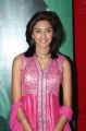 Actress Erica Fernandes at 555 Movie Audio Launch Stills