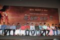 555 Movie Audio Launch Photos