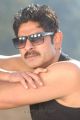 6 Telugu Movie Actor Jagapathi Babu Stills