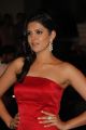 Deeksha Seth @ 60th Britannia Filmfare Awards 2014 Red Carpet Photos