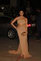 60th Britannia Filmfare Awards 2014 Red Carpet Photos