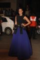 60th Britannia Filmfare Awards 2014 Red Carpet Photos