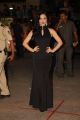 60th Britannia Filmfare Awards 2014 Red Carpet Photos