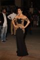 Sophie Choudry @ 60th Britannia Filmfare Awards 2014 Red Carpet Photos