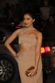 60th Britannia Filmfare Awards 2014 Red Carpet Photos