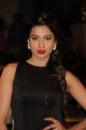 Pallavi Sharda @ 60th Britannia Filmfare Awards 2014 Red Carpet Photos