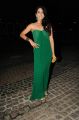 Actress Regina Cassandra at 60th Filmfare Awards South 2013 Stills