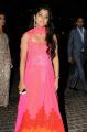 60th Idea Filmfare Awards 2013 (South) Stills