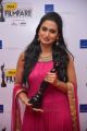 60th Idea Filmfare Awards 2012 (South) Photos