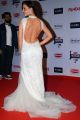 61st Britannia Filmfare Awards 2015 Photos