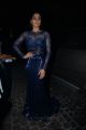 Regina Cassandra @ 63rd Filmfare Awards South 2016 Photos