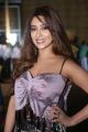 Payal Ghosh @ 63rd Filmfare Awards South 2016 Photos