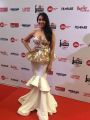 Regina Cassandra @ 65th Jio Filmfare Awards South Red Carpet Stills