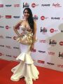 Regina Cassandra @ 65th Jio Filmfare Awards South Red Carpet Stills