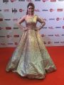 Payal Ghosh @ 65th Jio Filmfare Awards South Red Carpet Stills