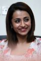 96 Movie Actress Trisha Latest Cute Images