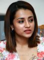 96 Movie Heroine Trisha Cute Latest Images