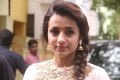 Actress Trisha @ 96 Movie Pooja Stills