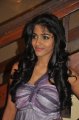 Actress Dhansika @ 9th CIFF Final Day Pictures