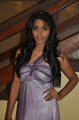 Actress Dhansika @ 9th CIFF Final Day Pictures