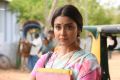 Actress Shriya Saran in AAA Movie Stills