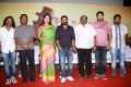 Aadhi Bhagavan Press Meet Stills