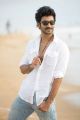 Tamil Hero Aadhi Photoshoot Latest Stills