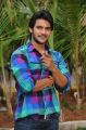 Telugu Hero Aadi Pudipeddi Pics