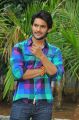 Telugu Hero Aadi Pudipeddi Pics